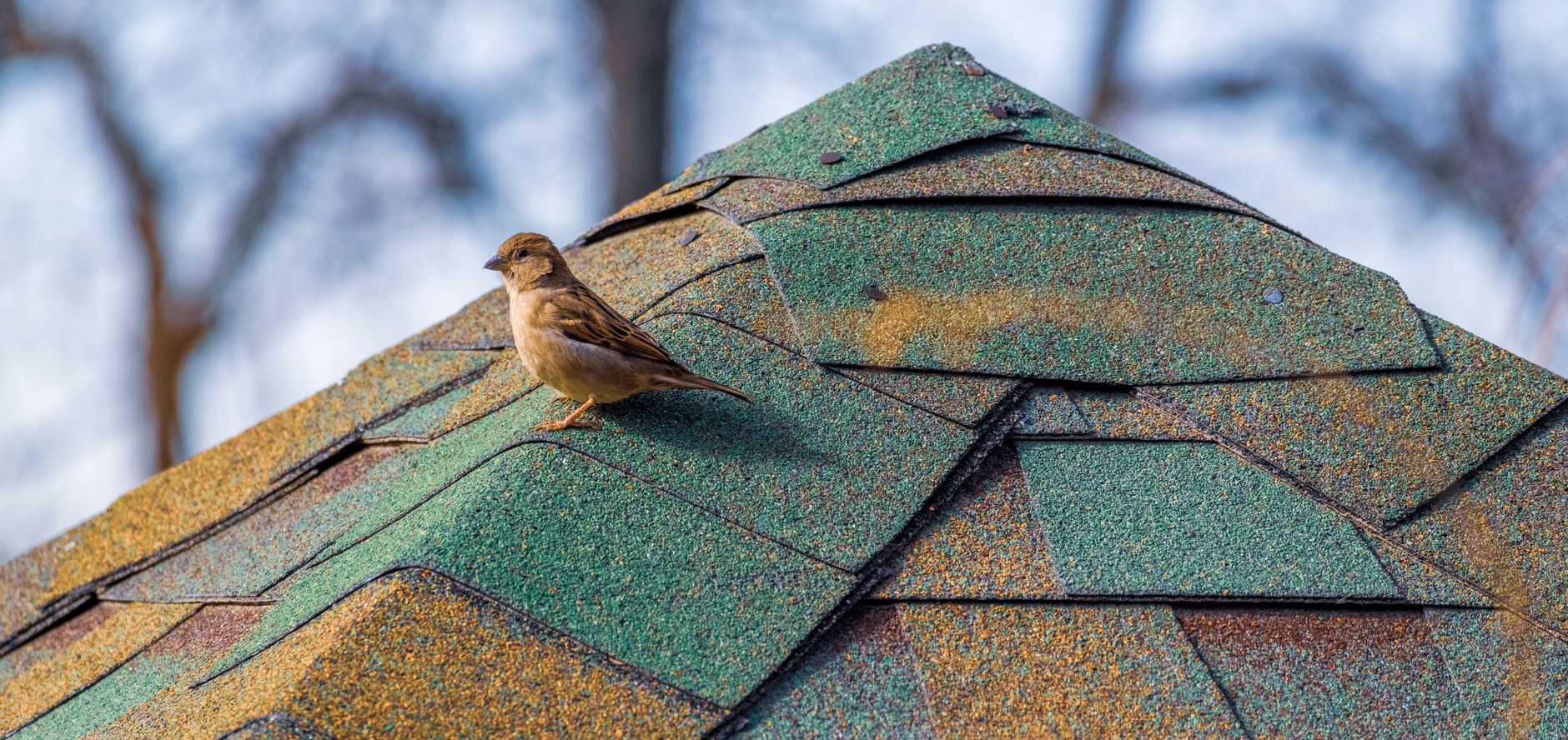 Flashing & Leak Repair – Copperas Cove